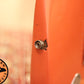 1962 Fender Stratocaster Electric Guitar Fiesta Red